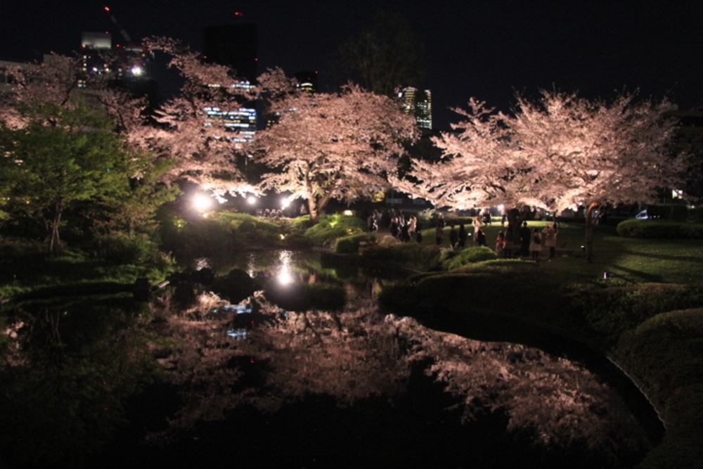 【大人の楽しみ、夜散歩。】六本木ヒルズ内の庭園!ライトアップされた毛利庭園を歩こう!