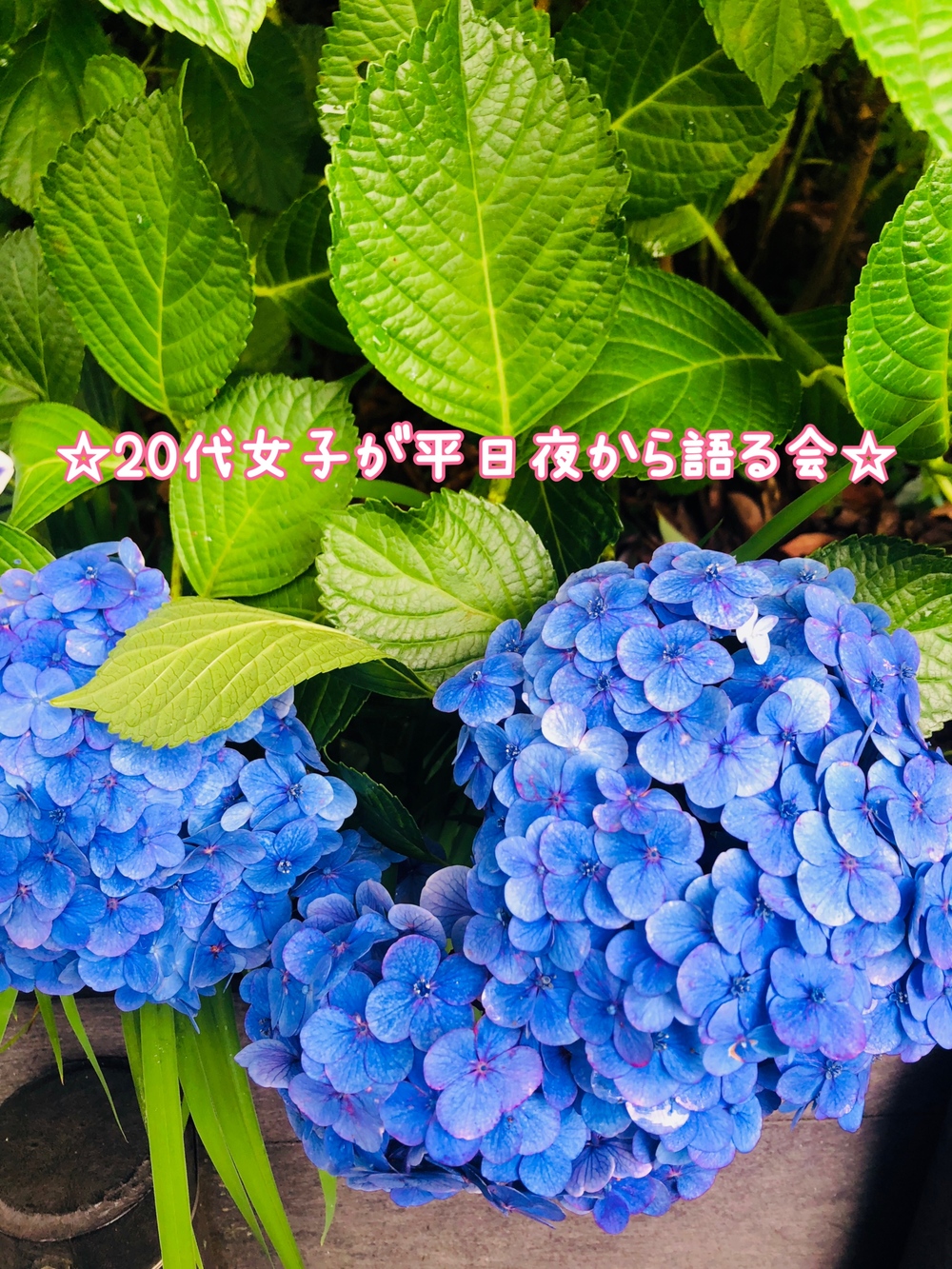 【6/19(木)20:30】☆20代女子が平日夜から語る会☆<オンライン>