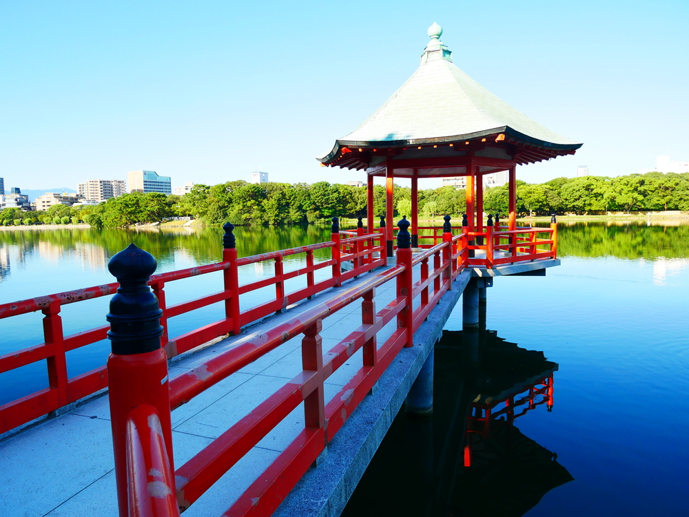 朝活散歩しませんか☀️大濠公園