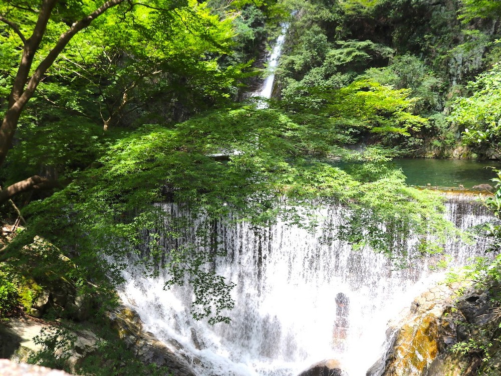 【8月29日(日)】布引の滝&植物園ハイキング