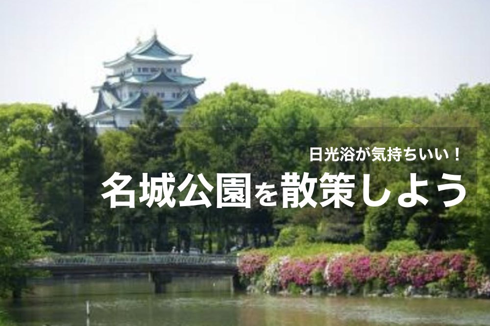 【名城公園を歩こう!】日光浴が気持ちいい!名城公園で平日の疲れを吹き飛ばそう!