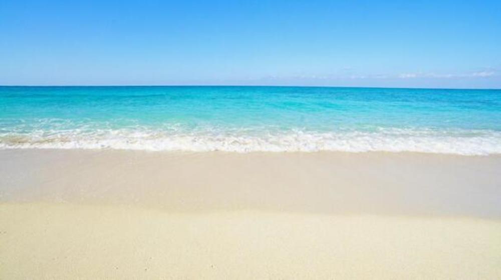【江ノ島ビーチクリーン🏖️】海でゴミ拾い✨一緒に参加しませんか?