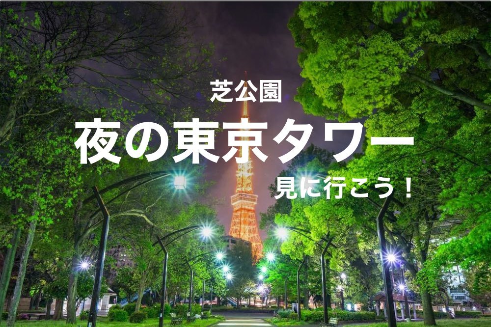 【東京タワー×ナイトウォーク】ライトアップされた東京タワーが望める場所、芝公園を歩こう!