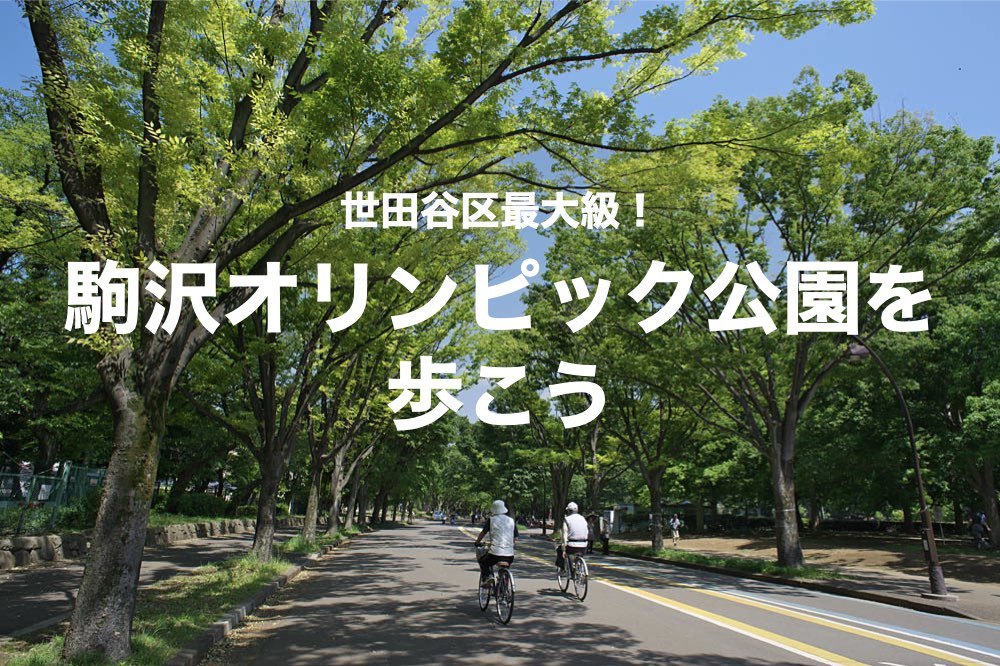 【駒沢オリンピック公園を歩こう!】世田谷区、最大の超巨大公園を散策しよう!