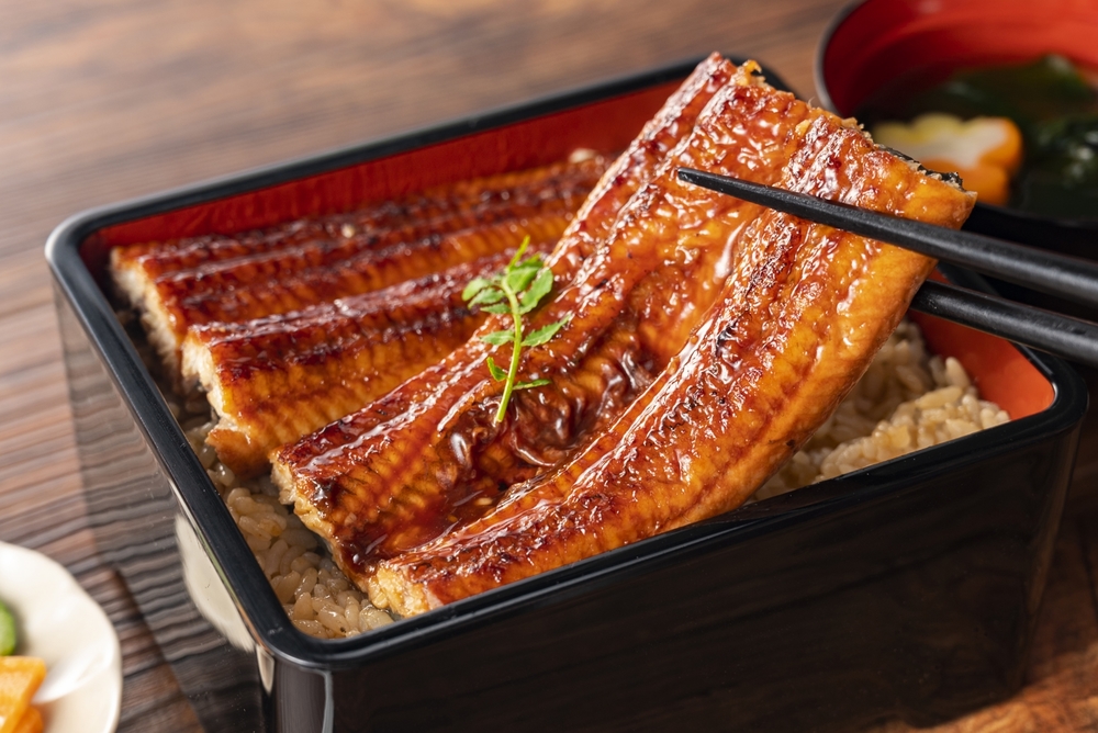 鰻を食べに行きます #初参加歓迎