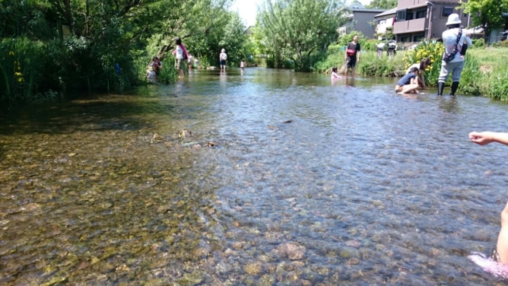 「夏の思い出を作りに川遊びしに行こう!」