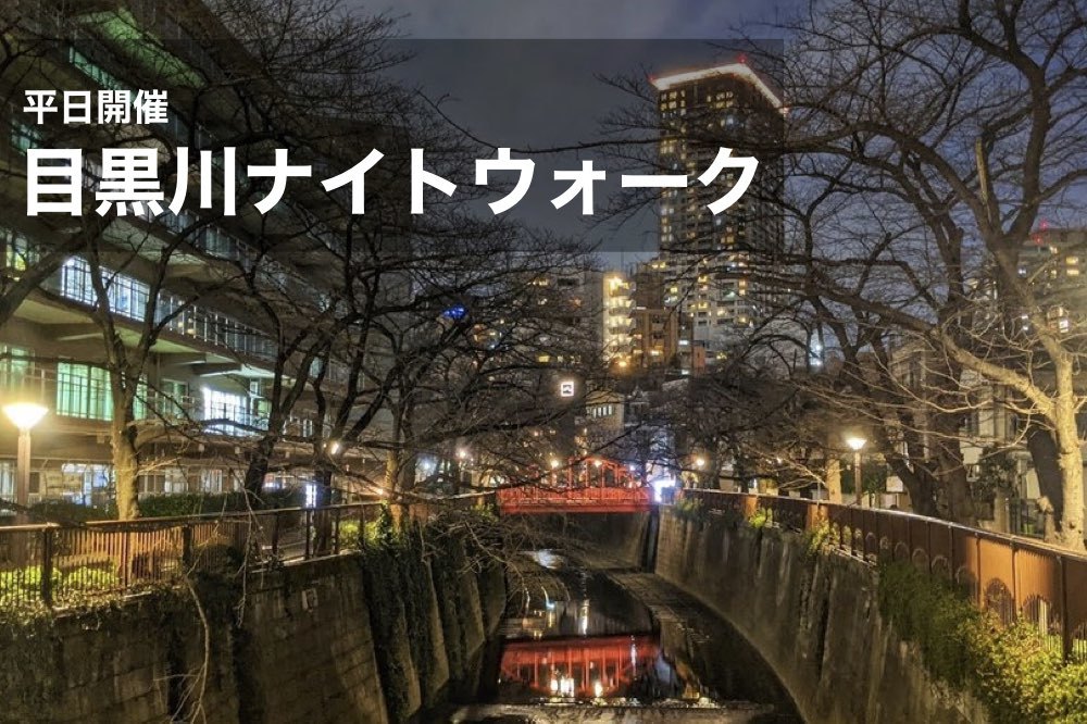 【目黒川×ナイトウォーク】雰囲気抜群!中目黒駅~目黒駅を歩こう!