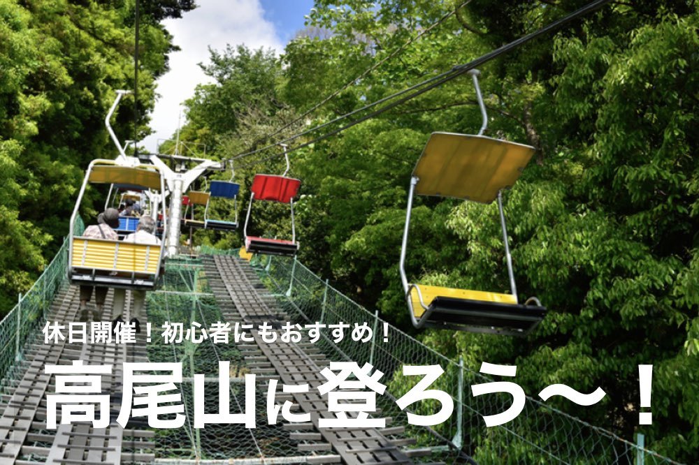 【高尾山へ行こう!】初心者にもおすすめ!見どころ沢山・高尾山でハイキングを楽しもう!