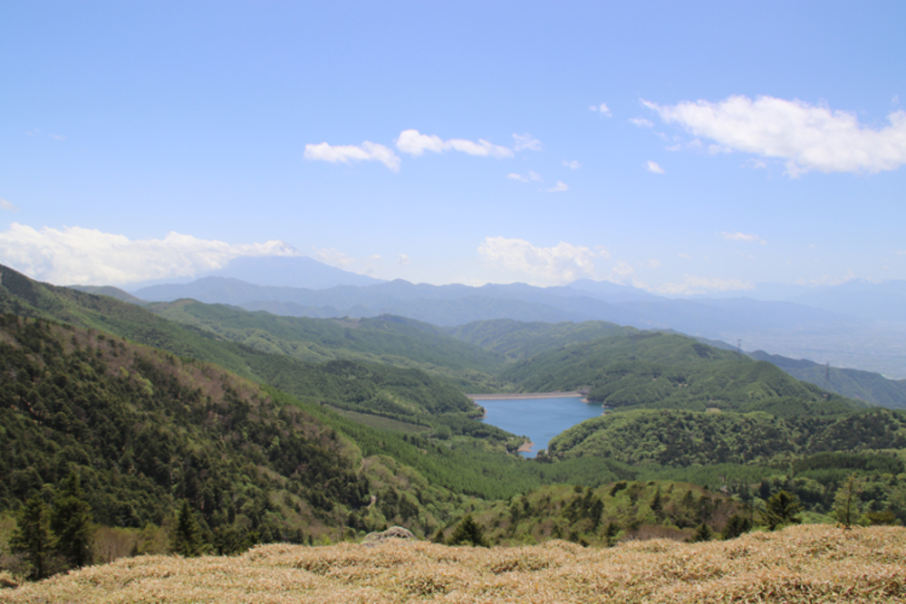 大菩薩嶺へ登山しに行きましょう!!