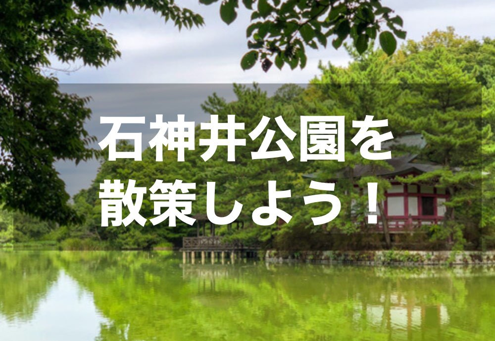 【石神井公園を散策!】四季を感じて、自然に癒されよう~!