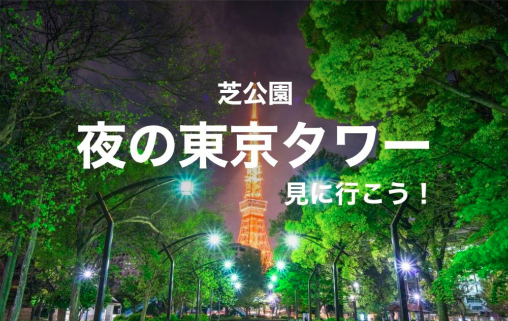 【東京タワー×ナイトウォーク】ライトアップされた東京タワーが望める場所、芝公園を歩こう!
