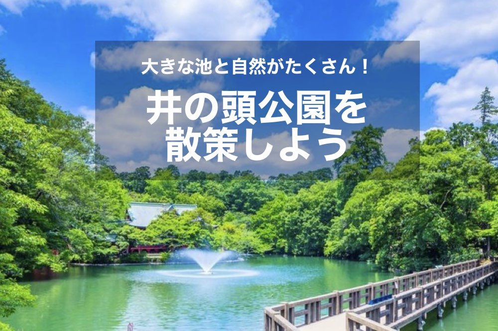 【井の頭公園を散策!】大きな池のほとりを気持ちよく、みんなでわいわい歩こう!