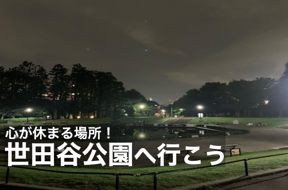 【世田谷公園でナイトウォーク】都会×自然の東京らしさが魅力!世田谷公園へいこう!
