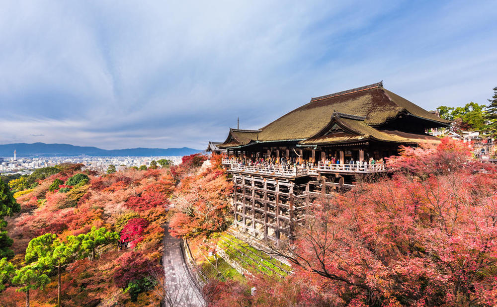 11/26(金)夜出発〜28(日)紅葉を観に行こうin京都