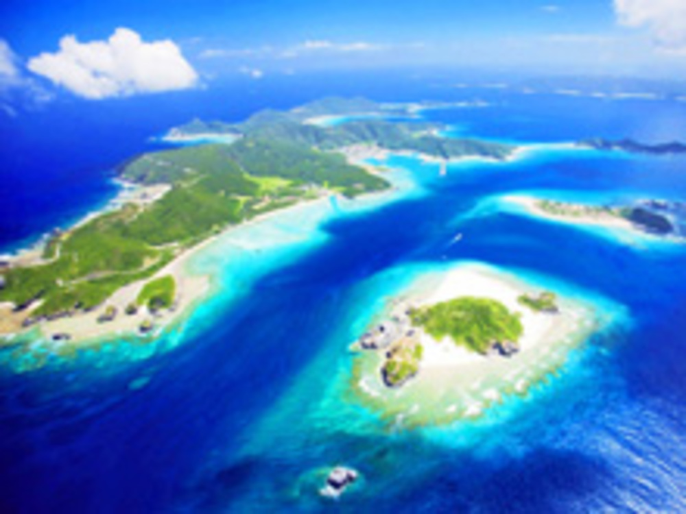 2022年4月22日(金)~24(日)渡嘉敷島ダイビング旅行