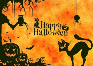 【早割りプランあり】新宿二丁目ハロウィーンツアー!