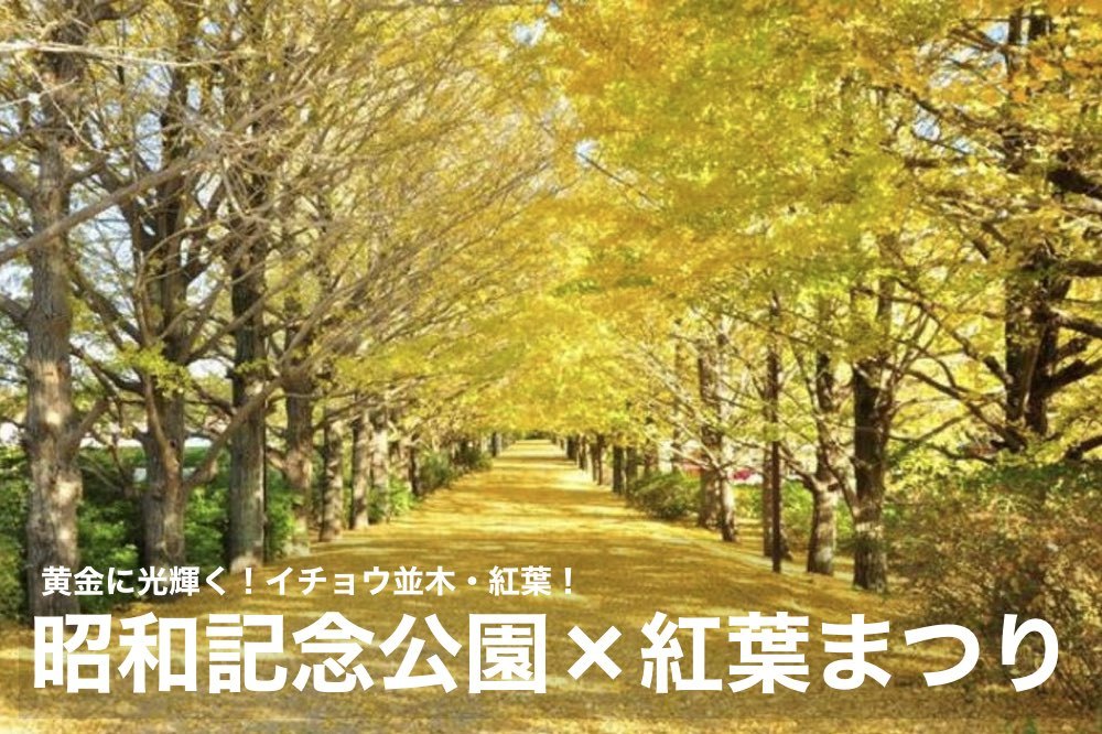 【昭和記念公園×紅葉まつり】おすすめ紅葉スポット!黄金に輝くイチョウ並木・紅葉を見に行こう!