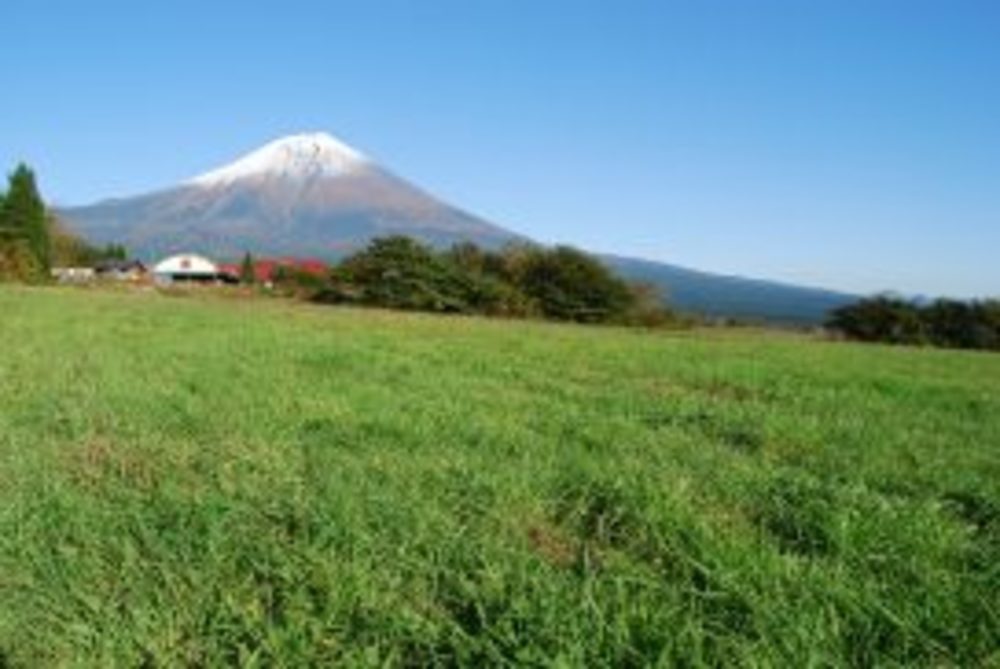 10/16-17 広くて近くて空いてて快適！芝生サイトで富士山キャンプ(残り1枠)
