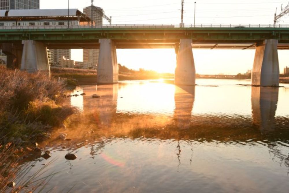 「多摩川夕方散歩しよ~!前日割します」