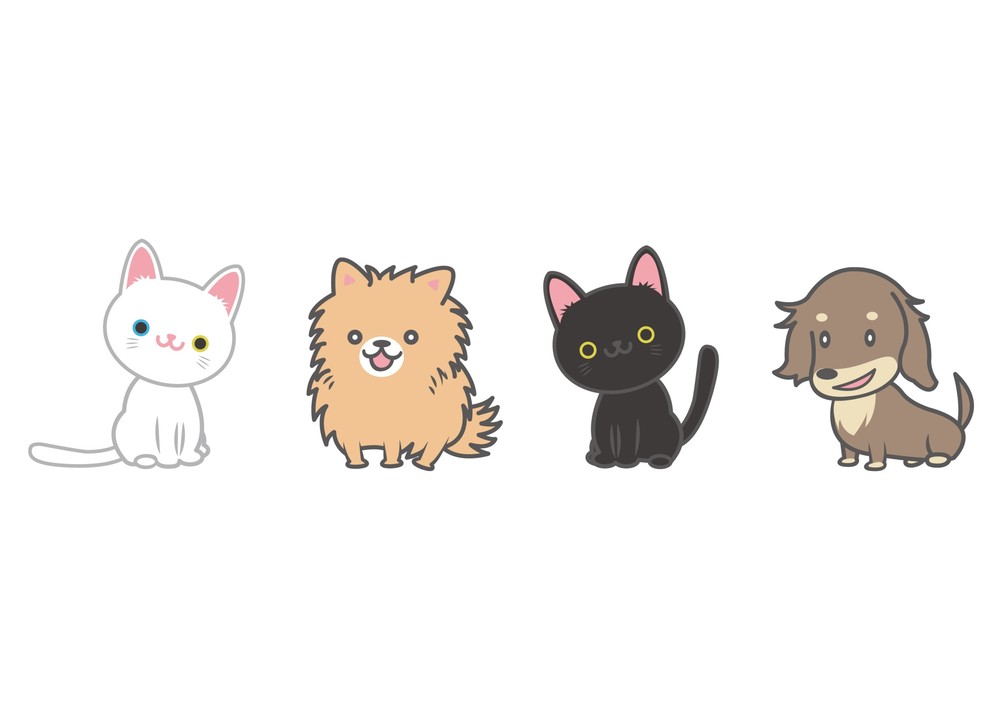 【参加費無料】直前まで募集中!あなたはどっち派🐶多数派どっちゲーム🐱