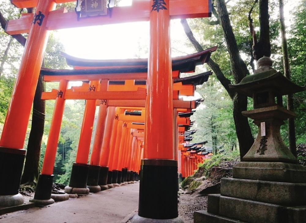 福岡の神社⛩御朱印帳📖💖