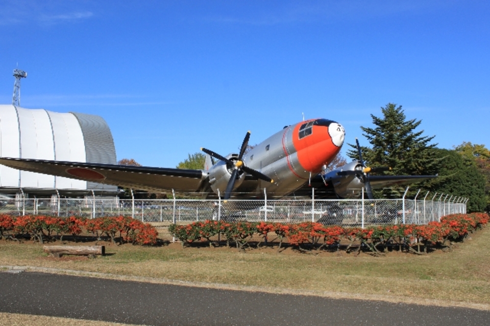 「飛行機のある公園でピクニック&フリスビーしよう!何名か無料」