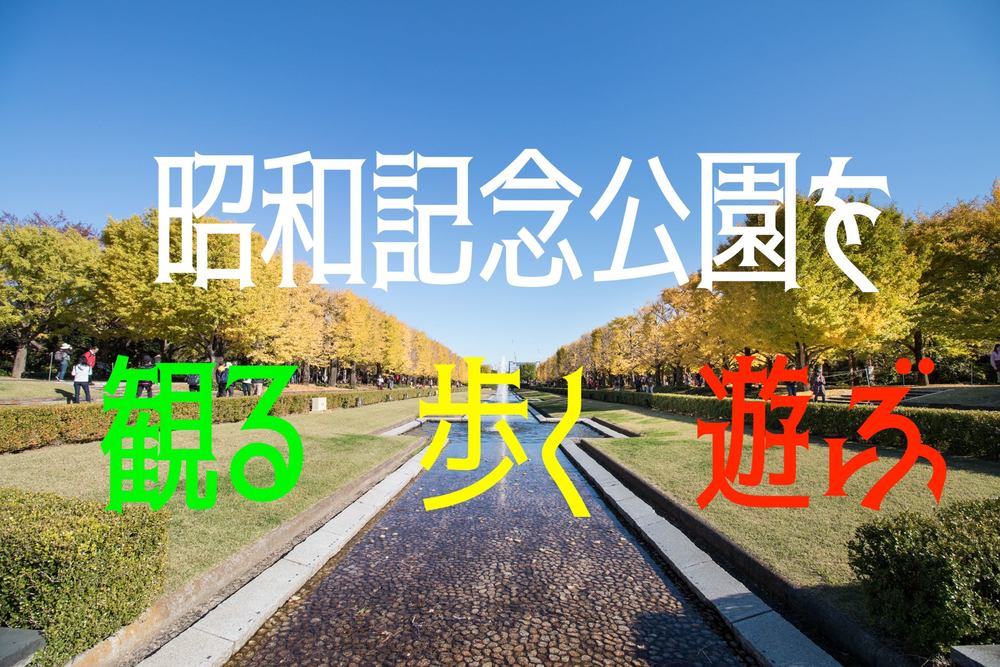 秋の昭和記念公園散策+ピクニック【入園料込の値段です】20-30代中心！