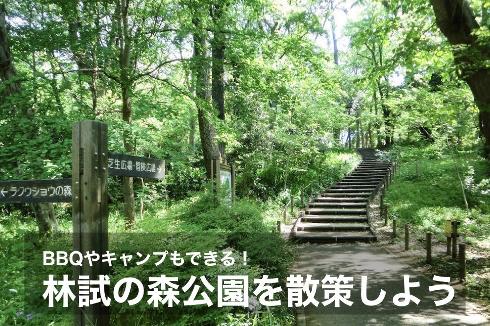 【林試の森公園を散策!】BBQやキャンプも出来ちゃう!自然豊かな公園へいこう!