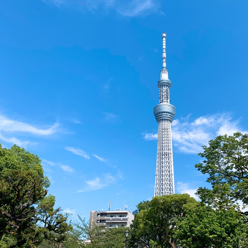 【パークヨガ×ピクニック】スカイツリーが見える隅田公園でヨガをしよう!
