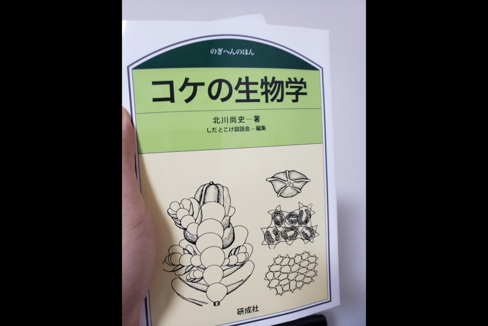 【オンライン】ゆるく朝活はじめよう♪【王道の読書】
