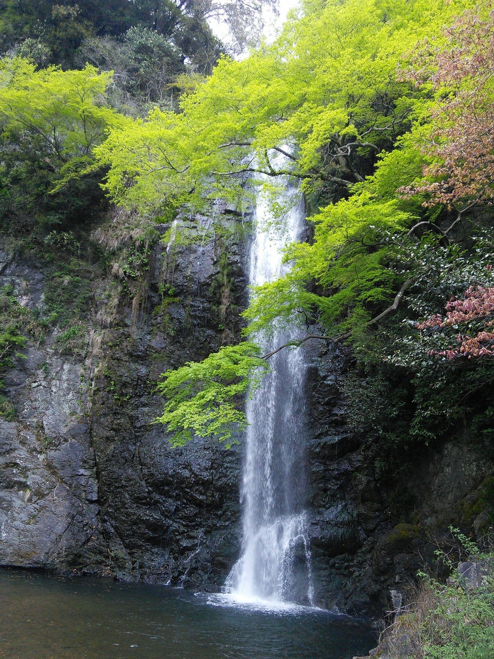 【10代,20代限定】箕面旅!!
