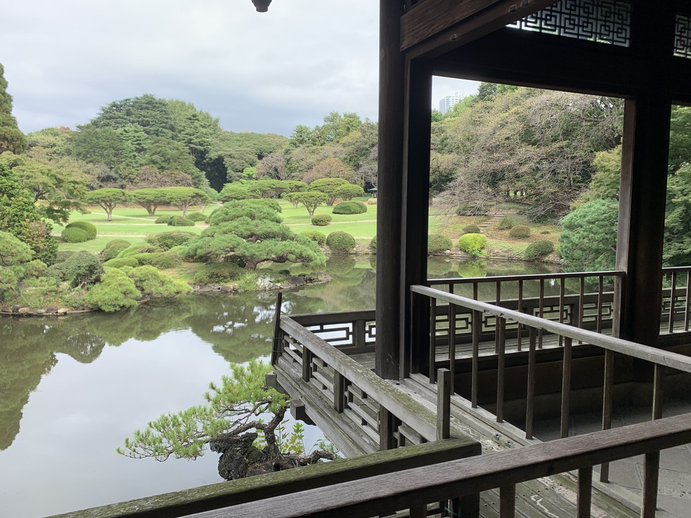 【20代前半にオススメ♪】清澄庭園で紅葉を楽しもう!!