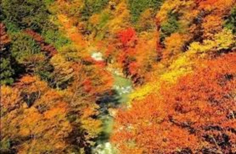 「紅葉を見に秋川渓谷へ行こう!早割中」