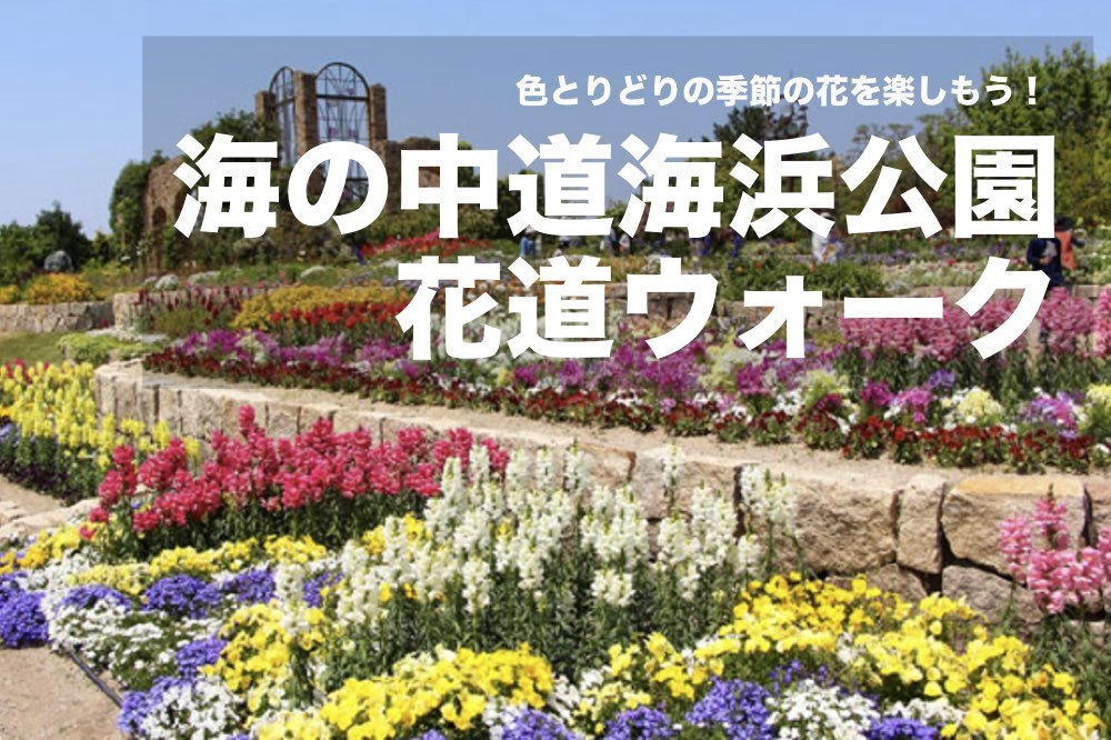 【海の中道海浜公園×花道ウォーク!】フラワースポットを巡って、季節の花を楽しもう!