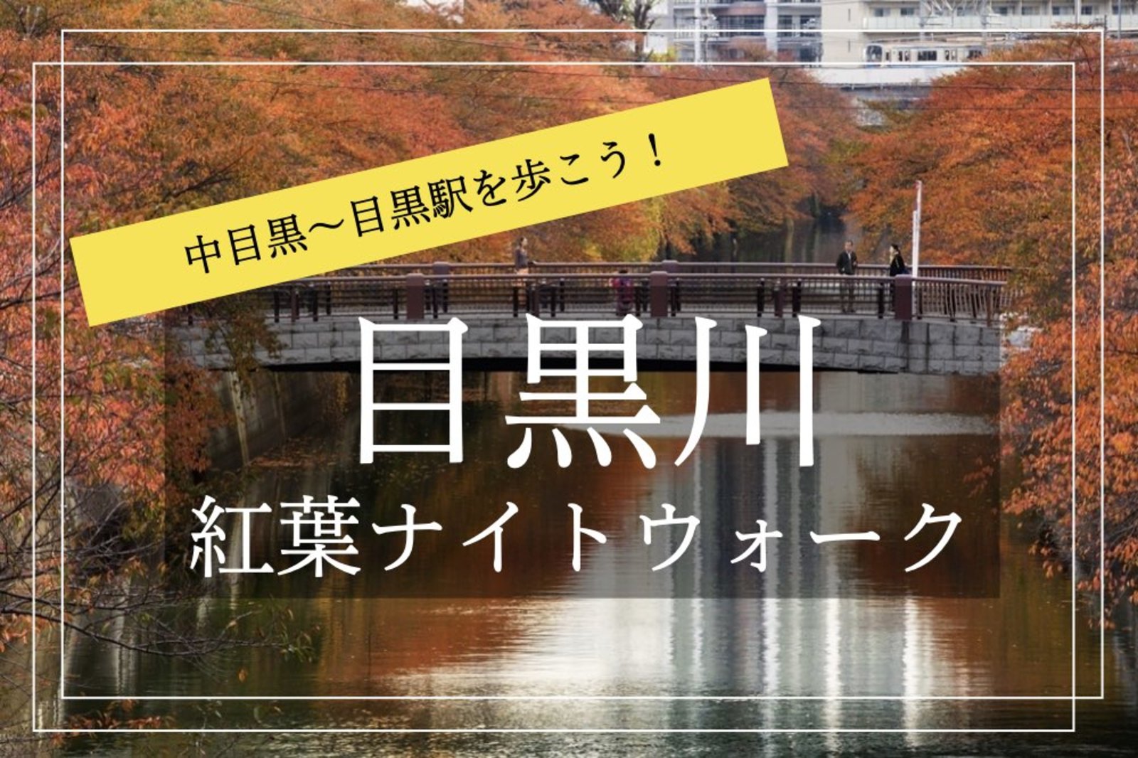 【目黒川×紅葉ナイトウォーク】雰囲気抜群!中目黒駅~目黒駅を歩こう!