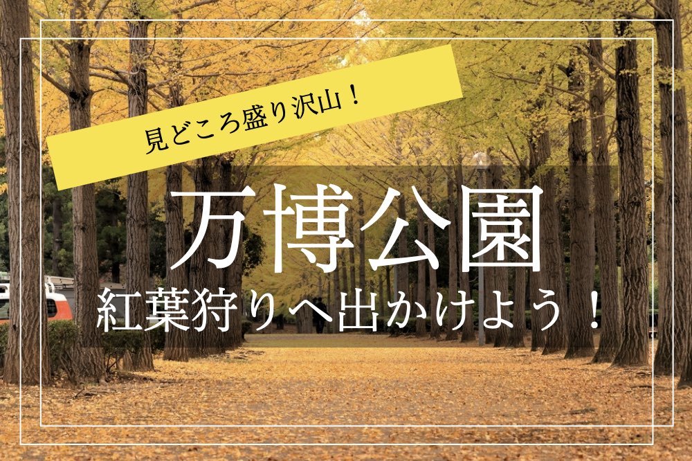 【万博記念公園×紅葉狩り】紅葉スポットが沢山!お気に入りのスポットを見つけよう!