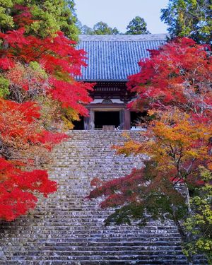 京都府のサークル一覧 372件 掲載サークル数日本一 サークルメンバー募集中 社会人の為の活動支援プラットフォーム つなげーと