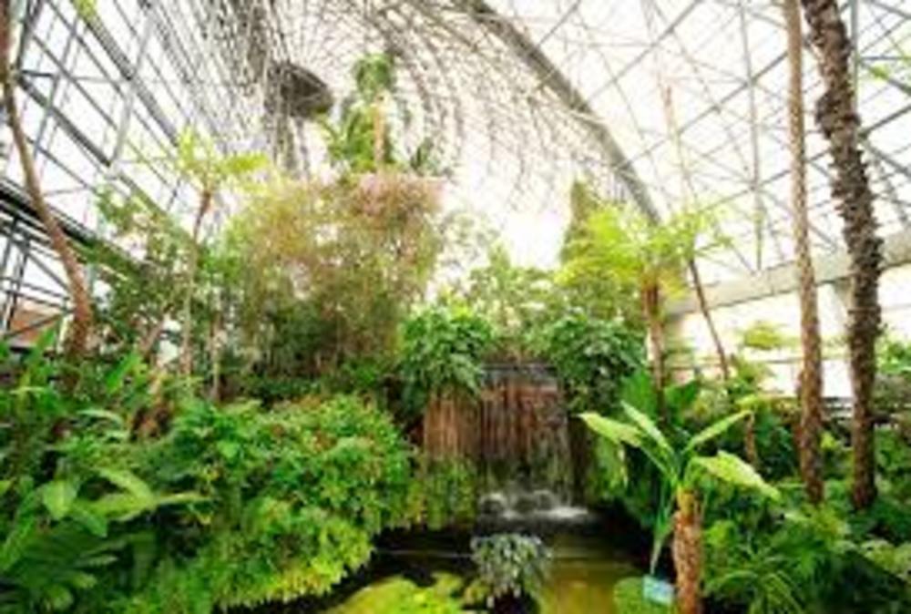 【カメライベント】新木場は夢の島熱帯植物館でゆる～く写真撮影しましょう