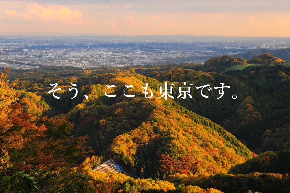 東京写真サークル・高尾山紅葉撮影会2021