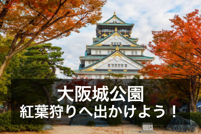 岡山県の友達づくりの友達づくりのサークル一覧 101件 掲載サークル数日本一 サークルメンバー募集中 社会人の為の活動支援プラットフォーム つなげーと