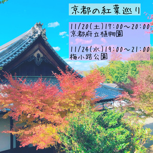 京都府のサークル一覧 346件 掲載サークル数日本一 サークルメンバー募集中 社会人の為の活動支援プラットフォーム つなげーと