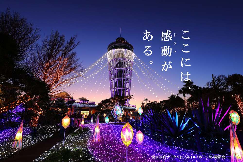 湘南の宝石 ～江の島を彩る光と色のイルミネーション撮影会～