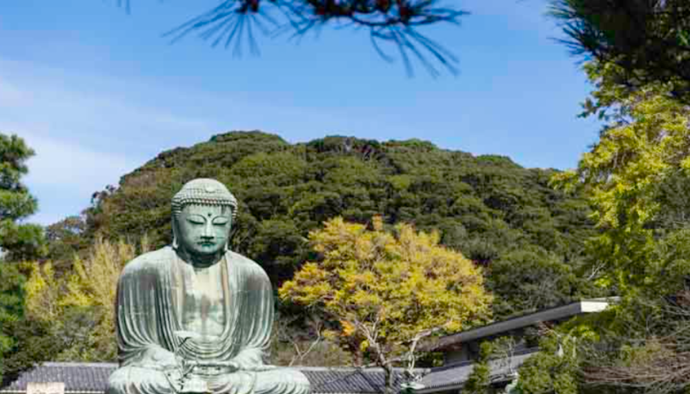 鎌倉ハイキング (大仏コースと話題のスィーツを食べよう♪)