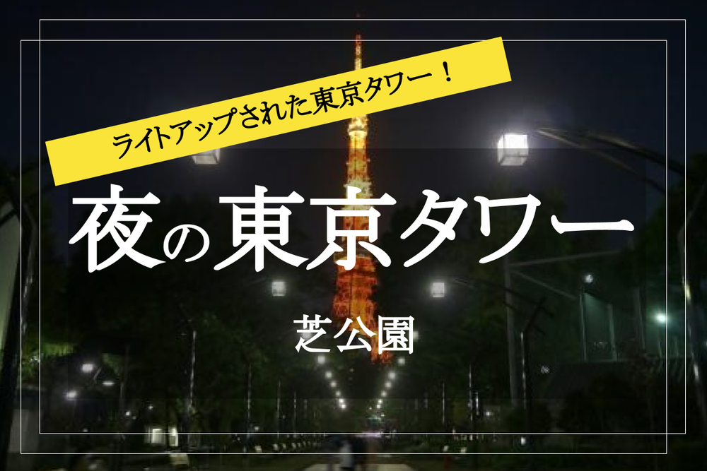 【新橋~東京タワー】夜景を楽しみながら歩こう~!
