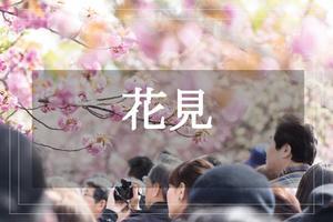 【名古屋城×梅】春の訪れを感じる梅を名古屋城で見よう！