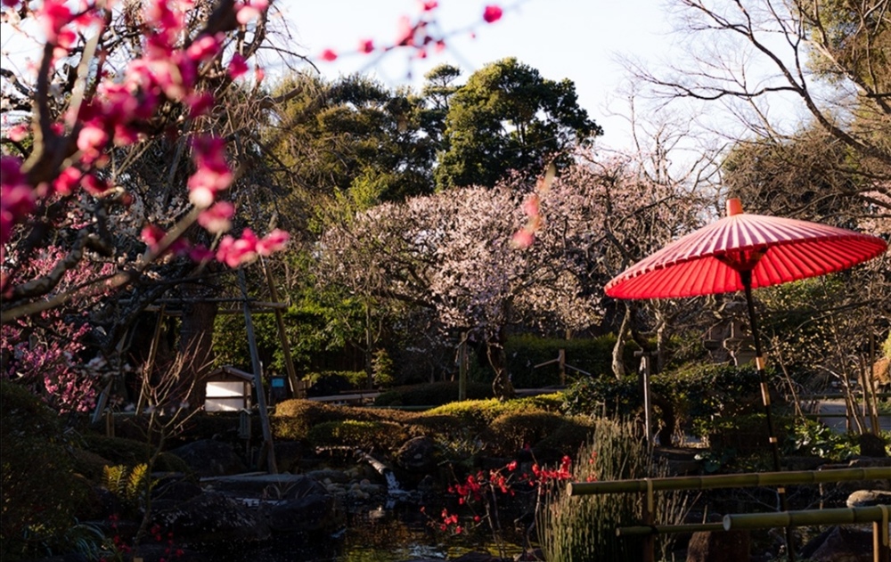 のんびりおしゃべりしながら【長谷寺で春を感じる】鎌倉散歩