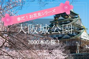 【大阪城公園×桜】関西屈指の桜の名所、大阪城公園でお花見を満喫しよう！