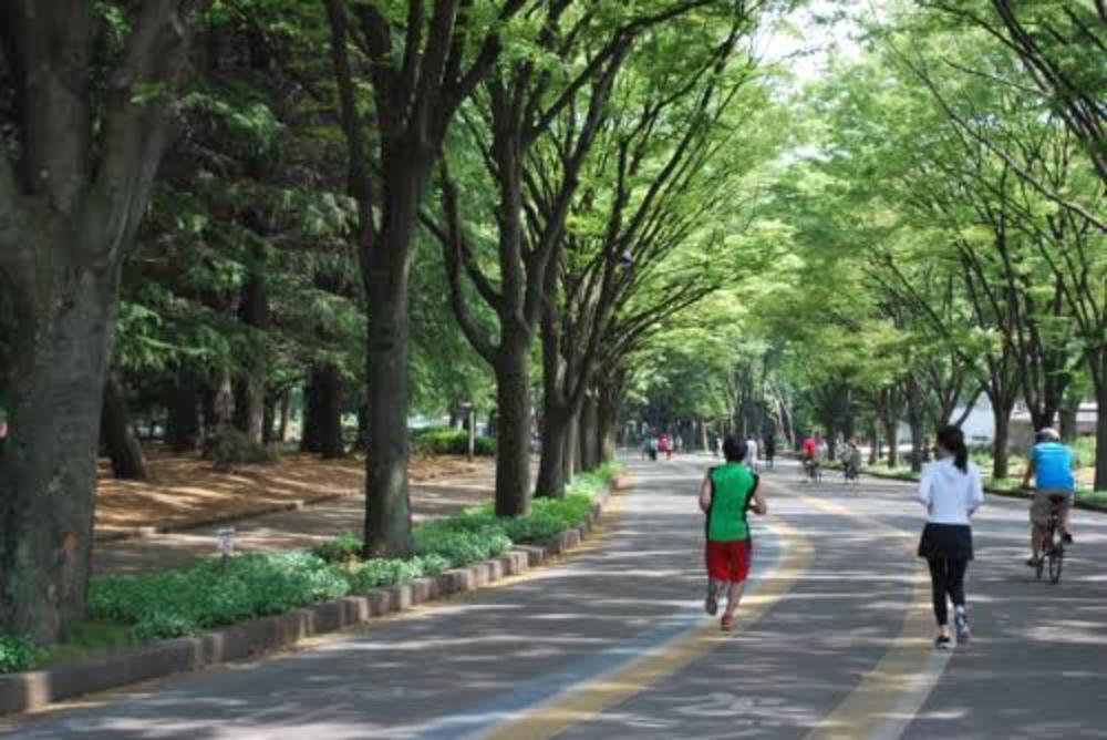 【初夏のランニング!@砧公園】みんなでゆったり走ろう!