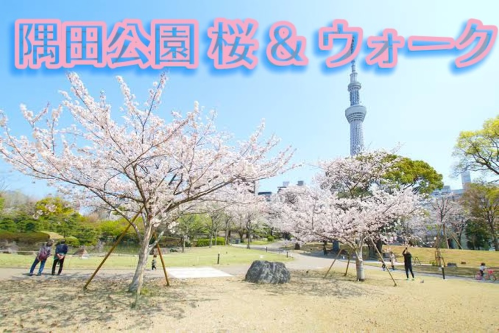 隅田公園で国際交流お花見ウォーク&お祭り！現10、あと2名で締切