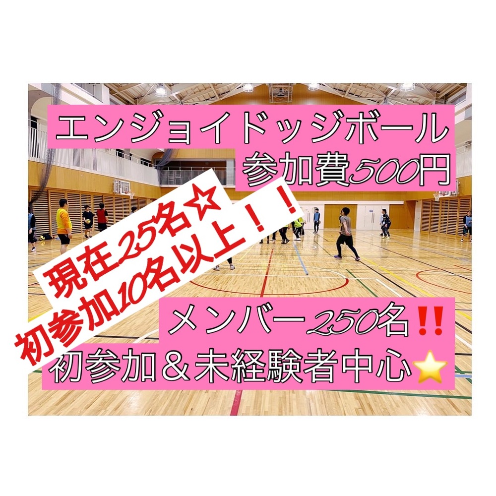 【現在25名(初参加11名)】ドッジボール⭐️初参加&未経験者中心⭐️遅刻OK! 【友達作り&運動不足解消しよう!】